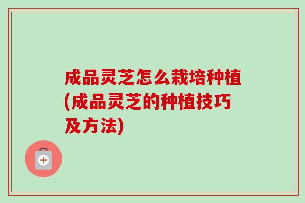 成品灵芝怎么栽培种植(成品灵芝的种植技巧及方法)