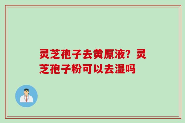 灵芝孢子去黄原液?灵芝孢子粉可以去湿吗 灵芝孢子去黄原液?灵芝孢子粉可以去湿吗