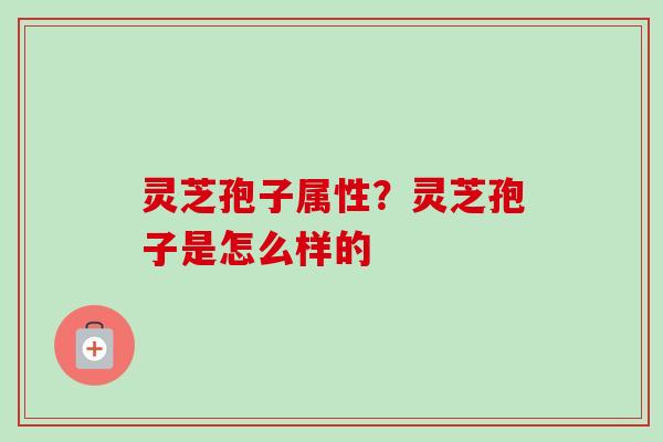 灵芝孢子属性？灵芝孢子是怎么样的