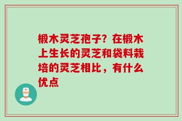 椴木灵芝孢子?在椴木上生长的灵芝和袋料栽培的灵芝相比,有什么优点 椴木灵芝孢子?在椴木上生长的灵芝和袋料栽培的灵芝相比,有什么优点