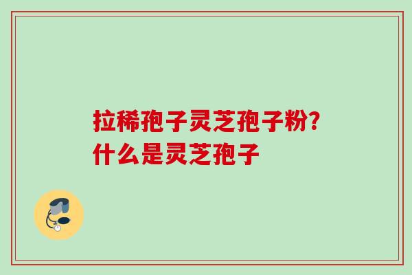 拉稀孢子灵芝孢子粉？什么是灵芝孢子