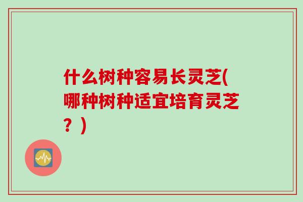 什么树种容易长灵芝(哪种树种适宜培育灵芝？)