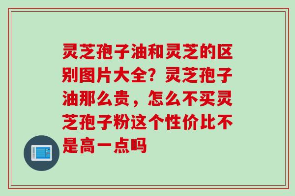 灵芝孢子油和灵芝的区别图片大全？灵芝孢子油那么贵，怎么不买灵芝孢子粉这个性价比不是高一点吗