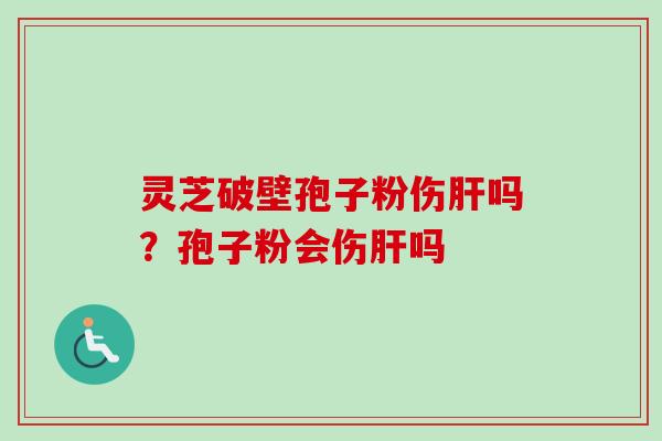 灵芝破壁孢子粉伤肝吗？孢子粉会伤肝吗