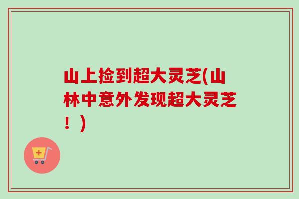 山上捡到超大灵芝(山林中意外发现超大灵芝！)