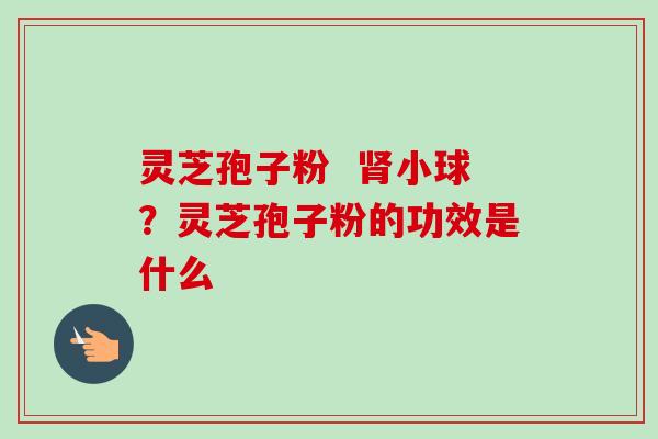 灵芝孢子粉  小球？灵芝孢子粉的功效是什么
