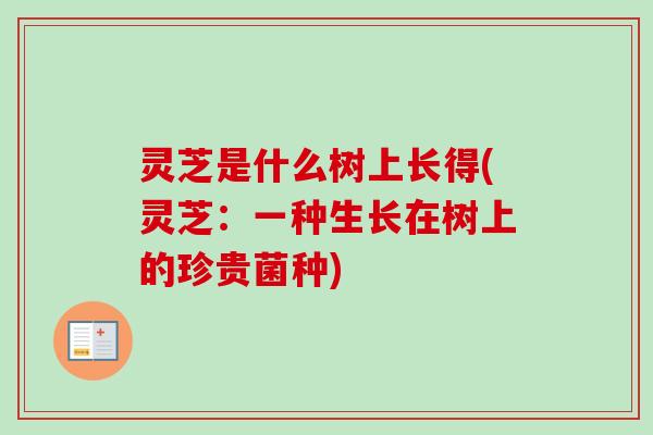 灵芝是什么树上长得(灵芝：一种生长在树上的珍贵菌种)
