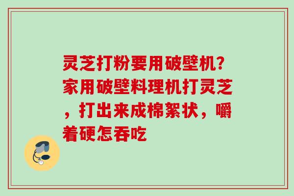灵芝打粉要用破壁机？家用破壁料理机打灵芝，打出来成棉絮状，嚼着硬怎吞吃