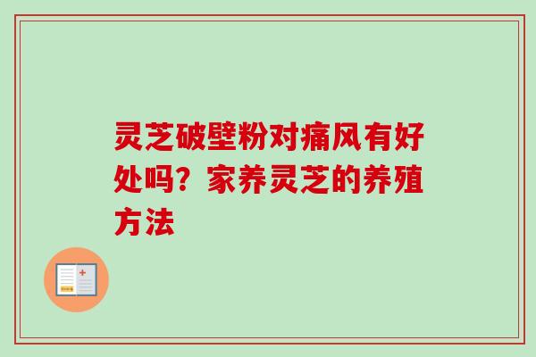 灵芝破壁粉对痛风有好处吗？家养灵芝的养殖方法