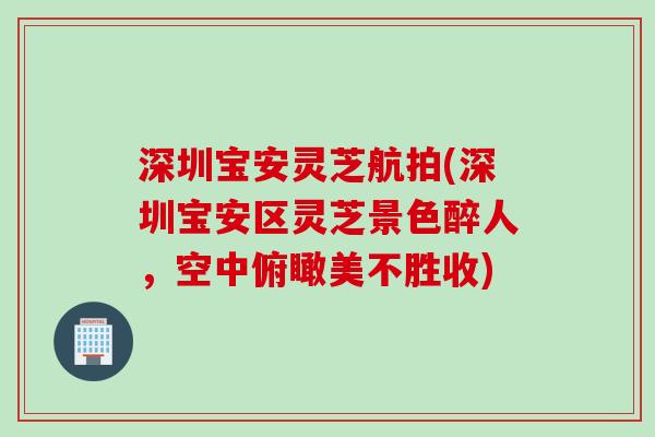 深圳宝安灵芝航拍(深圳宝安区灵芝景色醉人，空中俯瞰美不胜收)