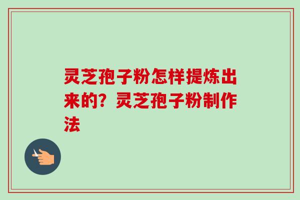 灵芝孢子粉怎样提炼出来的？灵芝孢子粉制作法