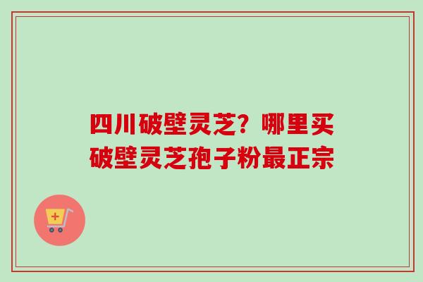 四川破壁灵芝？哪里买破壁灵芝孢子粉最正宗