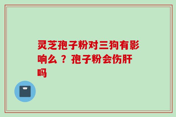 灵芝孢子粉对三狗有影响么 ?孢子粉会伤吗 灵芝孢子粉对三狗有影响么 ?孢子粉会伤吗