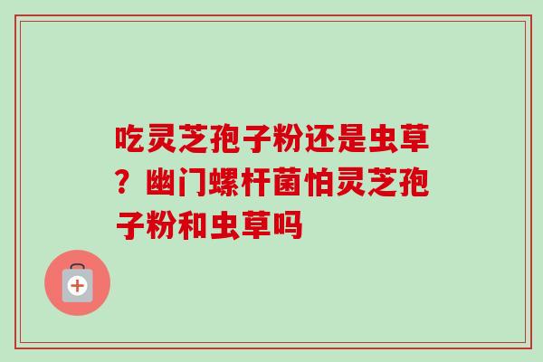 吃灵芝孢子粉还是虫草？幽门螺杆菌怕灵芝孢子粉和虫草吗