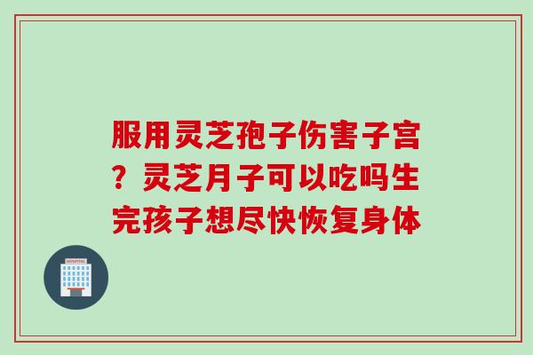 服用灵芝孢子伤害子宫？灵芝月子可以吃吗生完孩子想尽快恢复身体