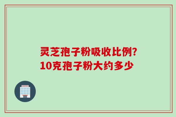 灵芝孢子粉吸收比例？10克孢子粉大约多少