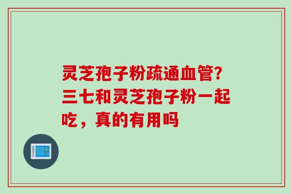灵芝孢子粉疏通血管？三七和灵芝孢子粉一起吃，真的有用吗