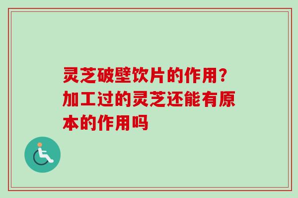 灵芝破壁饮片的作用？加工过的灵芝还能有原本的作用吗
