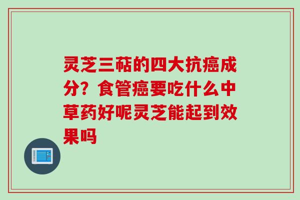 灵芝三萜的四大抗癌成分？食管癌要吃什么中草药好呢灵芝能起到效果吗