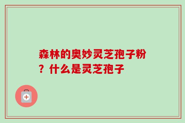 森林的奥妙灵芝孢子粉?什么是灵芝孢子 森林的奥妙灵芝孢子粉?什么是灵芝孢子