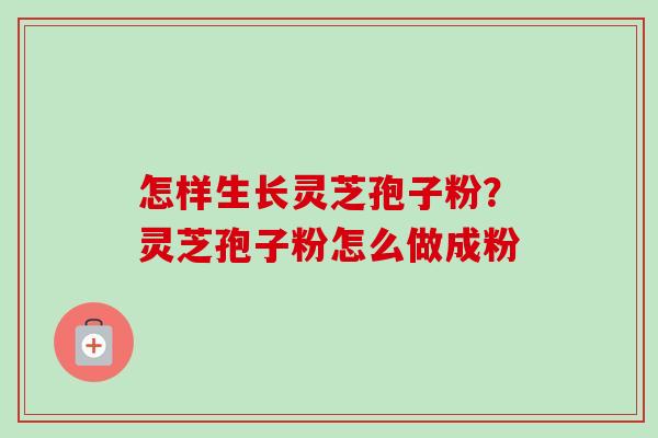 怎样生长灵芝孢子粉？灵芝孢子粉怎么做成粉