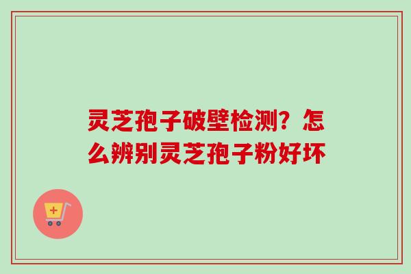 灵芝孢子破壁检测？怎么辨别灵芝孢子粉好坏