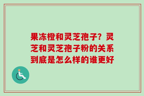 果冻橙和灵芝孢子？灵芝和灵芝孢子粉的关系到底是怎么样的谁更好