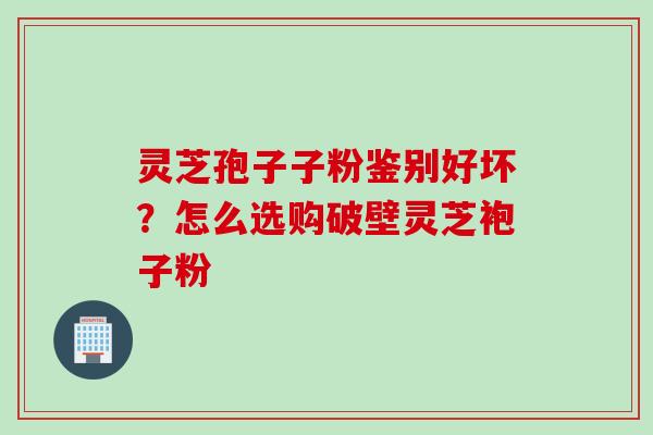 灵芝孢子子粉鉴别好坏？怎么选购破壁灵芝袍子粉