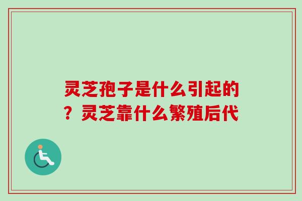 灵芝孢子是什么引起的?灵芝靠什么繁殖后代 灵芝孢子是什么引起的?灵芝靠什么繁殖后代