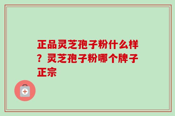 正品灵芝孢子粉什么样？灵芝孢子粉哪个牌子正宗