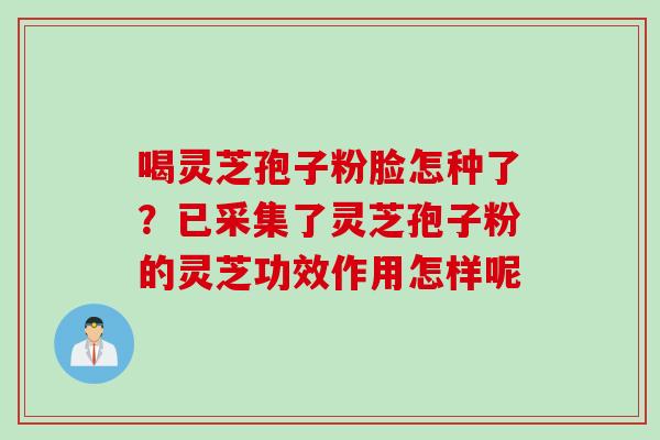 喝灵芝孢子粉脸怎种了？已采集了灵芝孢子粉的灵芝功效作用怎样呢