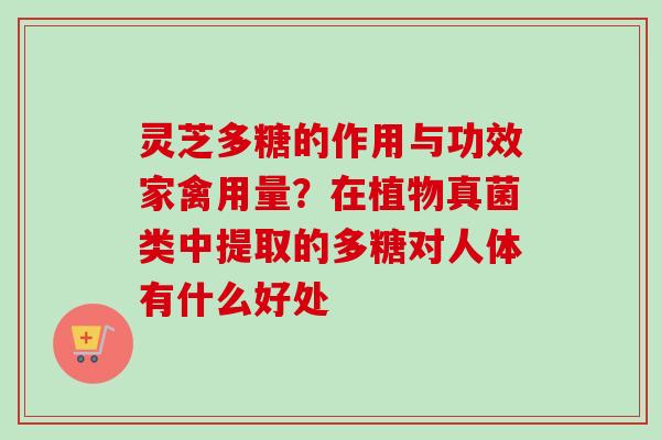 灵芝多糖的作用与功效家禽用量？在植物真菌类中提取的多糖对人体有什么好处