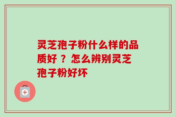 灵芝孢子粉什么样的品质好 ？怎么辨别灵芝孢子粉好坏