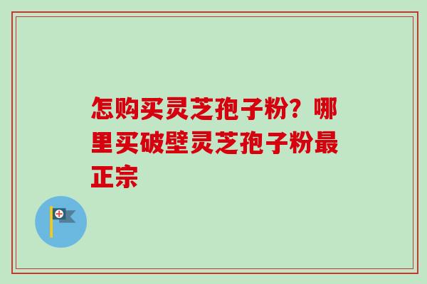 怎购买灵芝孢子粉？哪里买破壁灵芝孢子粉最正宗