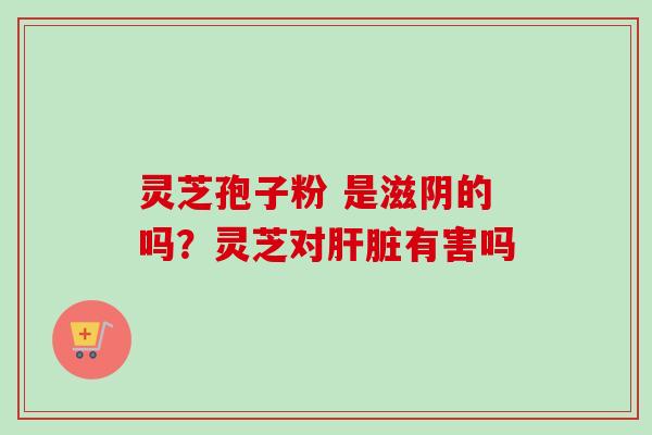 灵芝孢子粉 是滋阴的吗？灵芝对肝脏有害吗