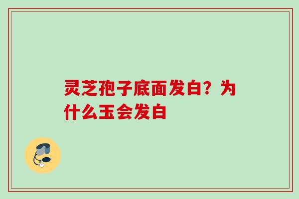 灵芝孢子底面发白？为什么玉会发白