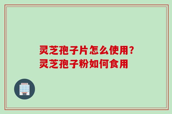 灵芝孢子片怎么使用？灵芝孢子粉如何食用