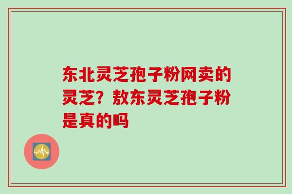 东北灵芝孢子粉网卖的灵芝？敖东灵芝孢子粉是真的吗