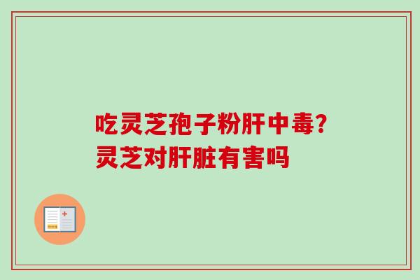 吃灵芝孢子粉肝中毒？灵芝对肝脏有害吗