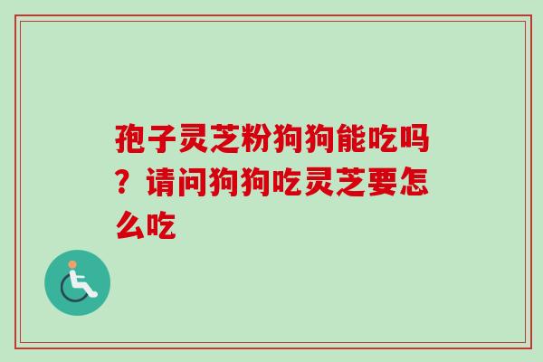孢子灵芝粉狗狗能吃吗？请问狗狗吃灵芝要怎么吃