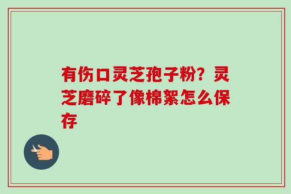 有伤口灵芝孢子粉？灵芝磨碎了像棉絮怎么保存