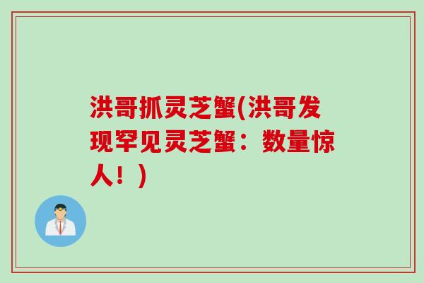 洪哥抓灵芝蟹(洪哥发现罕见灵芝蟹：数量惊人！)