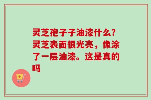 灵芝孢子子油漆什么？灵芝表面很光亮，像涂了一层油漆。这是真的吗