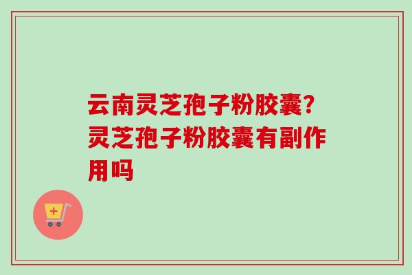 云南灵芝孢子粉胶囊？灵芝孢子粉胶囊有副作用吗