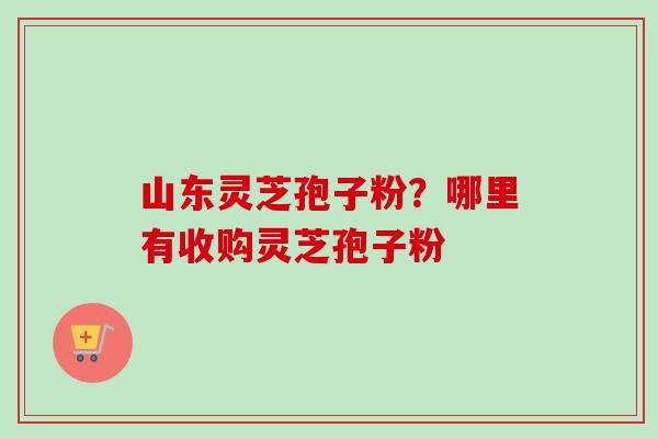 山东灵芝孢子粉?哪里有收购灵芝孢子粉 山东灵芝孢子粉?哪里有收购灵芝孢子粉