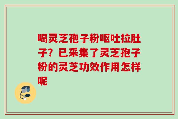 喝灵芝孢子粉呕吐拉肚子？已采集了灵芝孢子粉的灵芝功效作用怎样呢