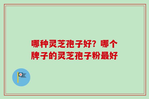 哪种灵芝孢子好？哪个牌子的灵芝孢子粉最好
