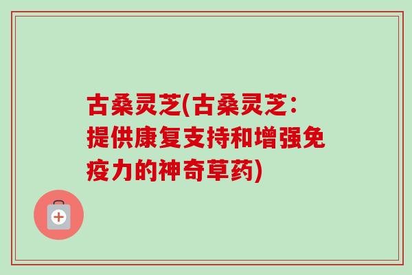 古桑灵芝(古桑灵芝：提供康复支持和增强免疫力的神奇草药)