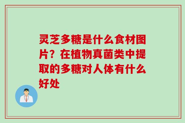 灵芝多糖是什么食材图片?在植物真菌类中提取的多糖对人体有什么好处 灵芝多糖是什么食材图片?在植物真菌类中提取的多糖对人体有什么好处