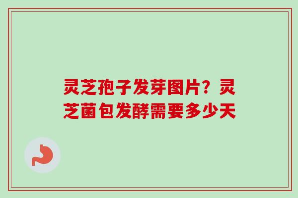 灵芝孢子发芽图片?灵芝菌包发酵需要多少天 灵芝孢子发芽图片?灵芝菌包发酵需要多少天